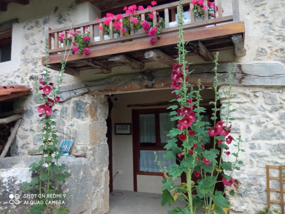 Ispáster Belaustegi Turismo Rural المظهر الخارجي الصورة